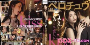 STARS-647